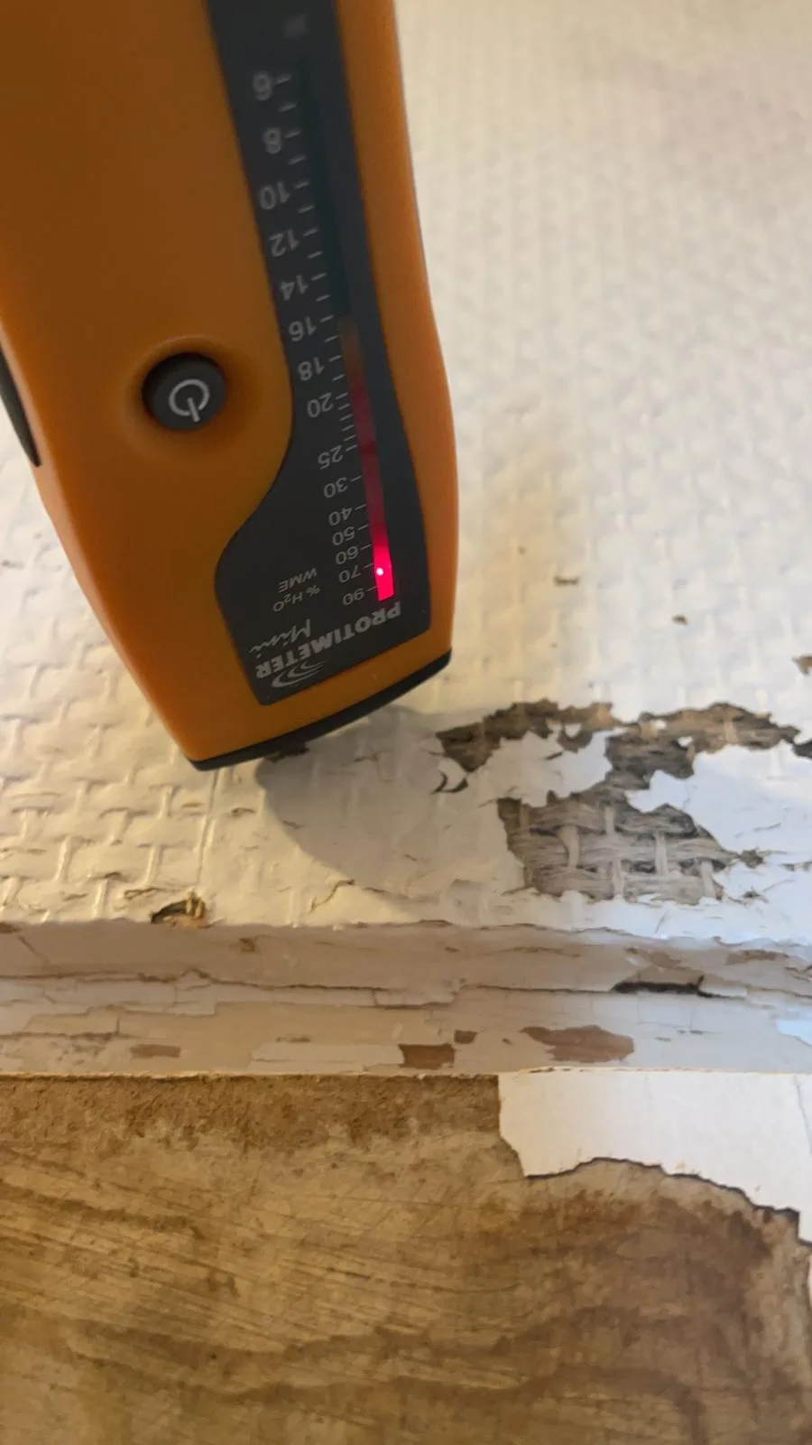 Relevé du taux d'humidité à l'humidimètre sur un mur dégradé par un dégât des eaux