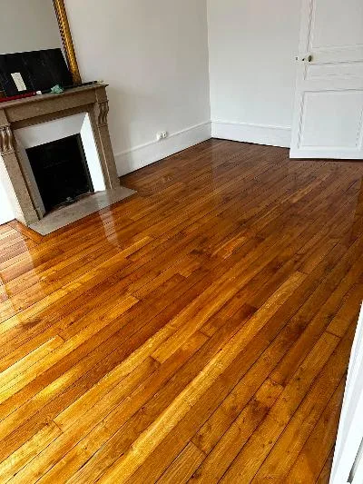 Pièce avec cheminée en marbre et parquet vitrifié